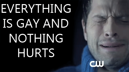 companies that support gay marriage from Samuel everythin is gay